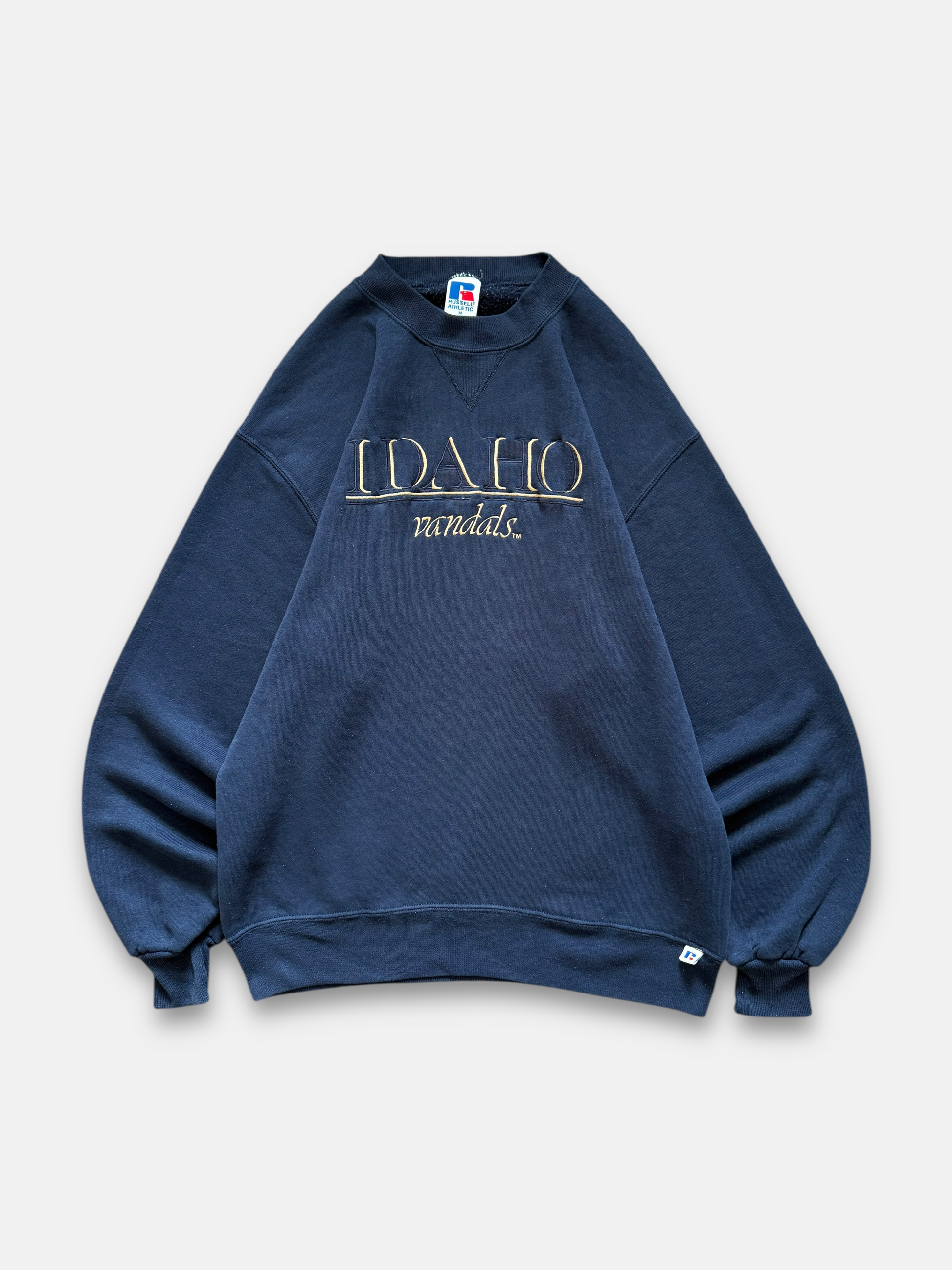 90s University of Idaho Sweatshirt (M)