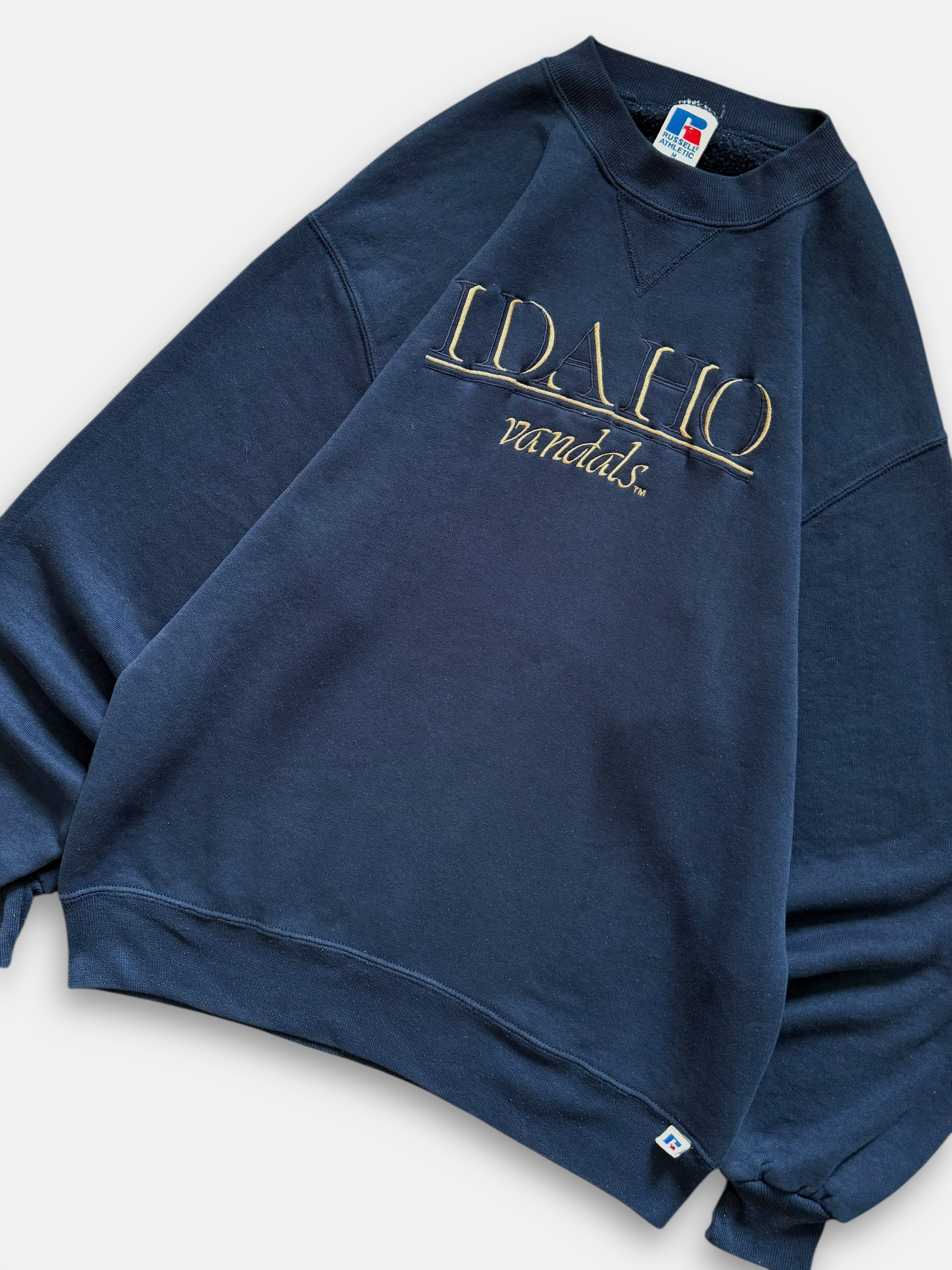 90s University of Idaho Sweatshirt (M)