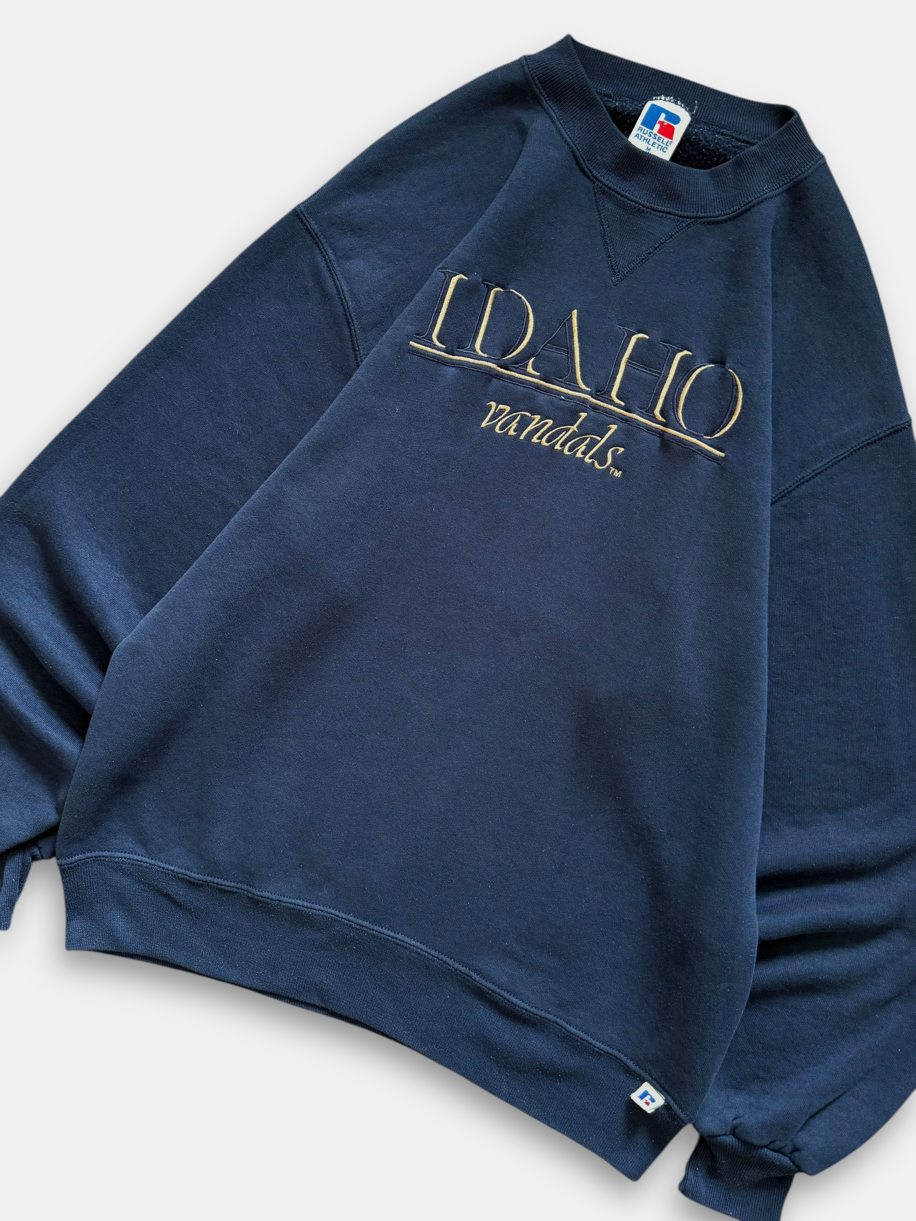 90s University of Idaho Sweatshirt (M)