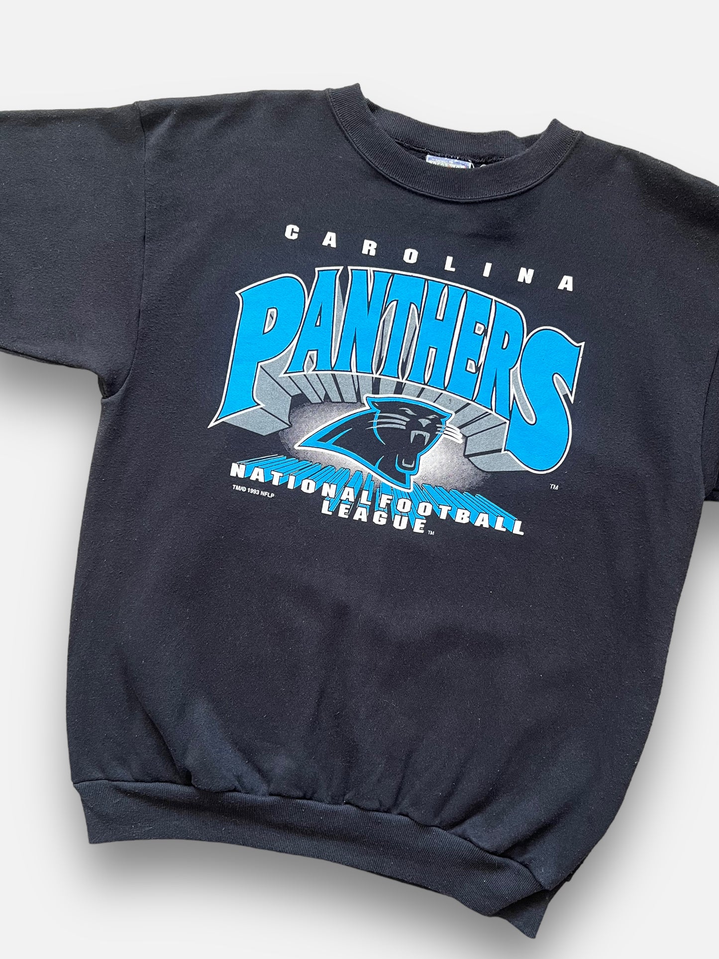 90s Carolina Panthers Sweatshirt (L)