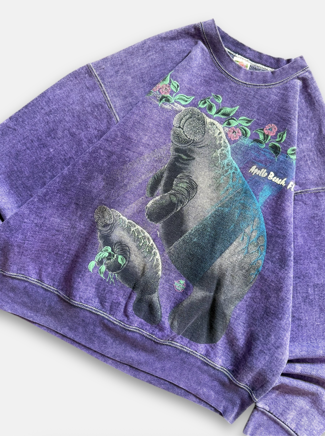 90s Apollo Beach Manatees Sweatshirt (L)